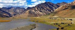 things-to-do-in-ladakh-trip-vagabond-holidays