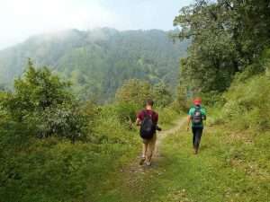 Benog-Hill-Trek-best-treks-from-dehradun-Vagabond-Holidays