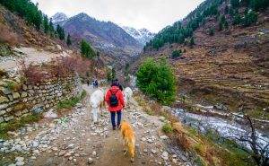 top-10-things-to-do-in-kasol-2022-vagabond-holidays